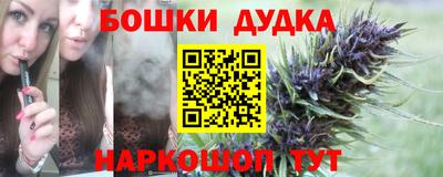 индика Краснознаменск